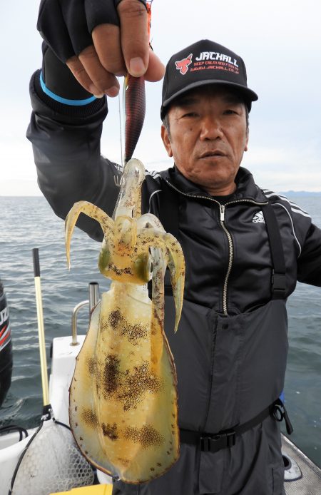 Fisherman Dreams DI 釣果