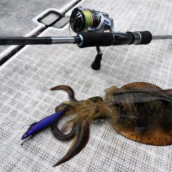 Fisherman Dreams DI 釣果