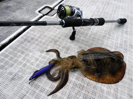 Fisherman Dreams DI 釣…