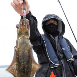 Fisherman Dreams DI 釣果