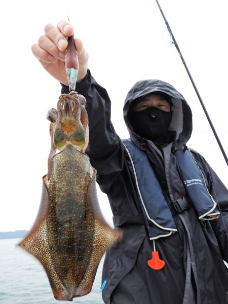 Fisherman Dreams DI 釣果