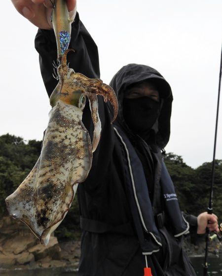 Fisherman Dreams DI 釣果