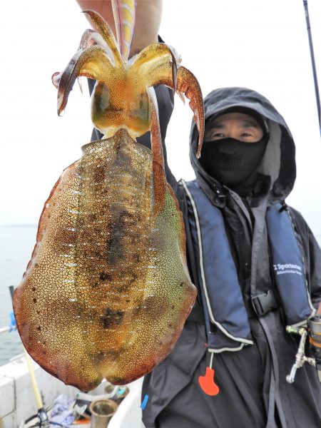 Fisherman Dreams DI 釣果