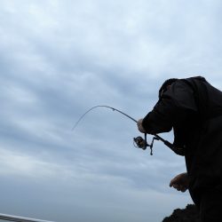 Fisherman Dreams DI 釣果