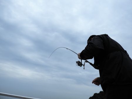 Fisherman Dreams DI 釣果