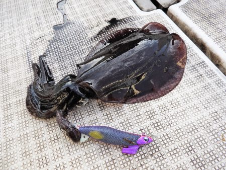 Fisherman Dreams DI 釣果