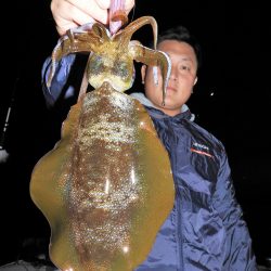 Fisherman Dreams DI 釣果