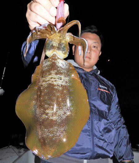 Fisherman Dreams DI 釣果