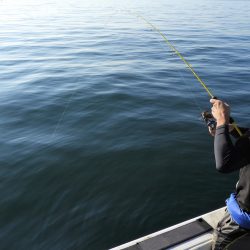 Fisherman Dreams DI 釣果