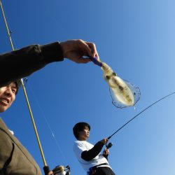 Fisherman Dreams DI 釣果