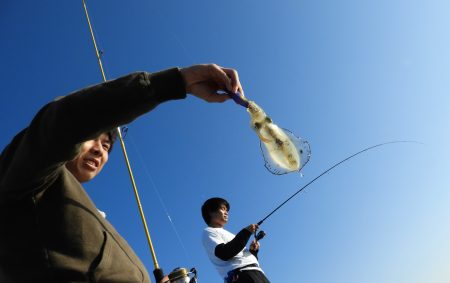 Fisherman Dreams DI 釣果