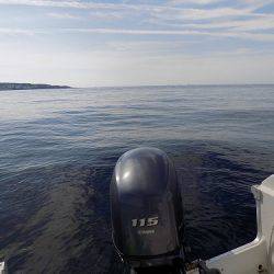 フィッシングボート空風（そらかぜ） 釣果