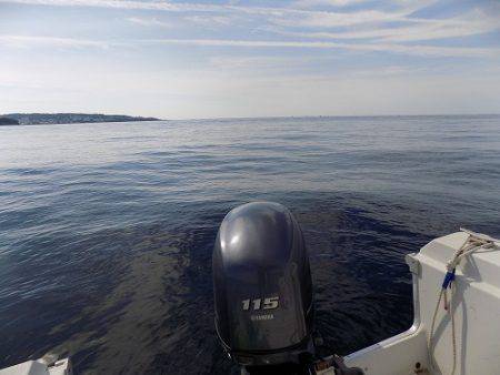 フィッシングボート空風（そらかぜ） 釣果