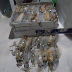 フィッシングボート空風(そらかぜ) 釣果