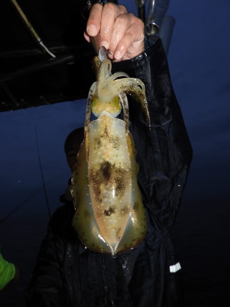 Fisherman Dreams DI 釣果