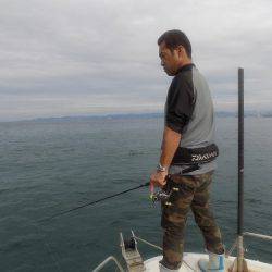 フィッシングボート空風(そらかぜ) 釣果