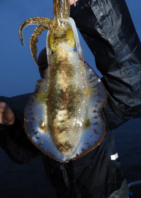 Fisherman Dreams DI 釣果