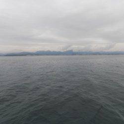 フィッシングボート空風(そらかぜ) 釣果