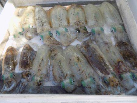 フィッシングボート空風(そらかぜ) 釣果