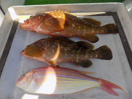 フィッシングボート空風(そらかぜ) 釣果