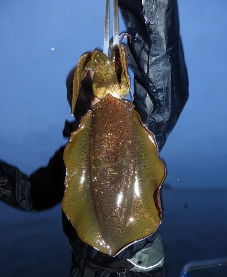 Fisherman Dreams DI 釣果