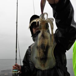 Fisherman Dreams DI 釣果