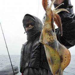 Fisherman Dreams DI 釣果