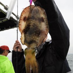 Fisherman Dreams DI 釣果