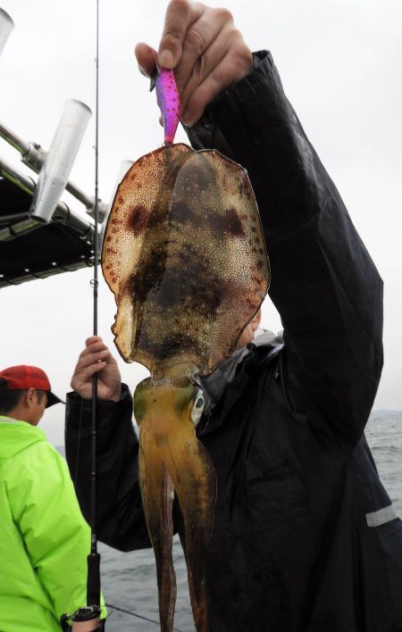 Fisherman Dreams DI 釣果