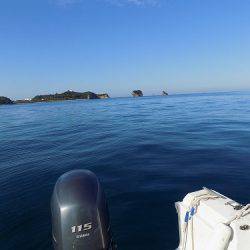 フィッシングボート空風(そらかぜ) 釣果