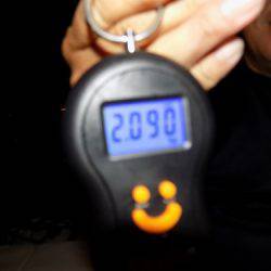 フィッシングボート空風(そらかぜ) 釣果