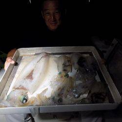 フィッシングボート空風(そらかぜ) 釣果