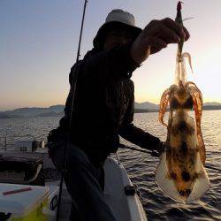 フィッシングボート空風(そらかぜ) 釣果
