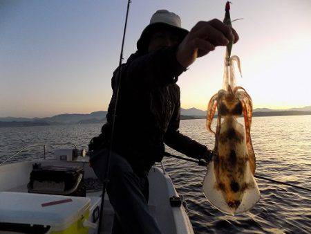 フィッシングボート空風(そらかぜ) 釣果