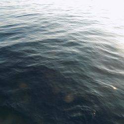 フィッシングボート空風(そらかぜ) 釣果