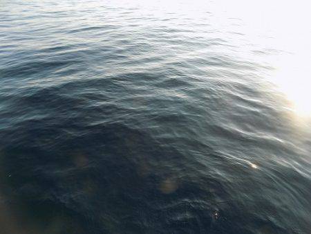 フィッシングボート空風(そらかぜ) 釣果