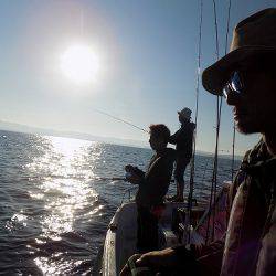 フィッシングボート空風(そらかぜ) 釣果