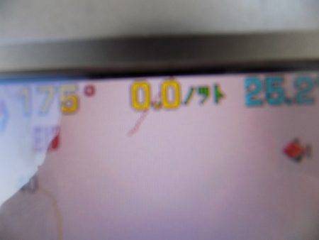 フィッシングボート空風(そらかぜ) 釣果