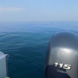 フィッシングボート空風(そらかぜ) 釣果