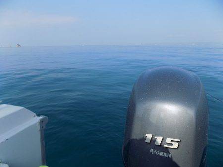 フィッシングボート空風(そらかぜ) 釣果