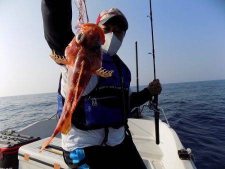 フィッシングボート空風（そらかぜ） 釣果