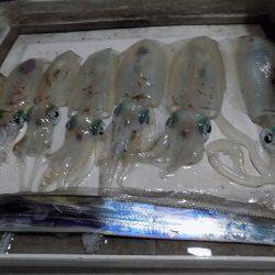 フィッシングボート空風(そらかぜ) 釣果