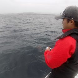 フィッシングボート空風(そらかぜ) 釣果