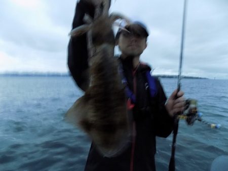 フィッシングボート空風(そらかぜ) 釣果