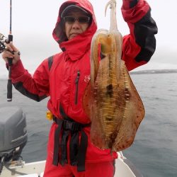 フィッシングボート空風(そらかぜ) 釣果