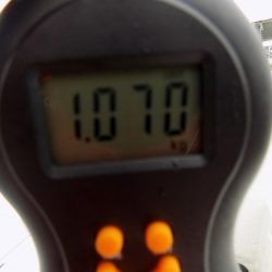 フィッシングボート空風(そらかぜ) 釣果