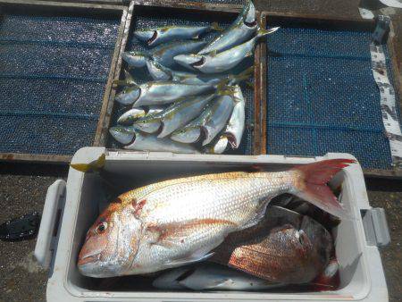 大進丸（愛知） 釣果