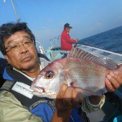 大進丸（愛知） 釣果