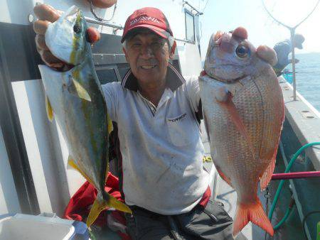 大進丸（愛知） 釣果