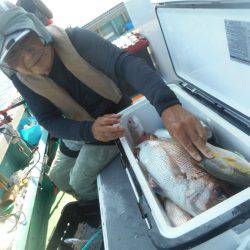 大進丸（愛知） 釣果